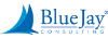 Blue Jay Consulting, LLC