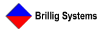 Brillig Systems