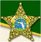 Florida Sheriffs Association