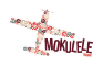 Mokulele Airlines Hawaii
