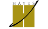 Hayes Computer Systems