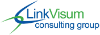 LinkVisum Consulting Group