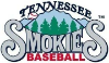 Tennessee Smokies Baseball