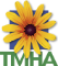 Transitions-Mental Health Association
