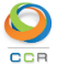 CCR (Circle Computer Resources)