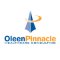 Oleen Pinnacle Healthcare Consulting