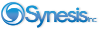 Synesis Inc