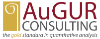 Augur Consulting Inc