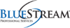 BlueStream Professional Services