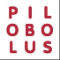 Pilobolus Dance Theatre