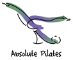 ABSolute Pilates