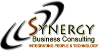 Synergy Business Consulting, Inc.