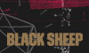 The Black Sheep Agency, LLC