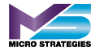 Micro Strategies Inc. - Technology Solutions. Business Results.