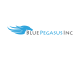 Blue Pegasus Inc