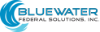 BlueWater Federal Solutions