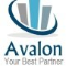 Avalon Software Services