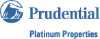 Prudential Platinum Properties